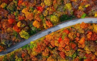 Golden Years, Golden Leaves: Top Late-Season Autumn Trips